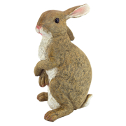 Image Thumbnail for DT HOPPER THE BUNNY GARDEN RABBIT STATUE